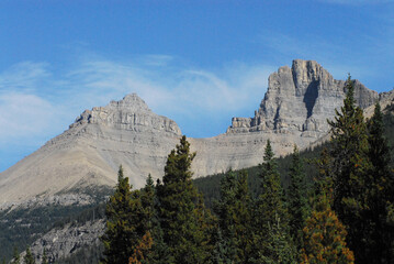 Canada- Panorama of Rocky Mountain Peaks and Forest