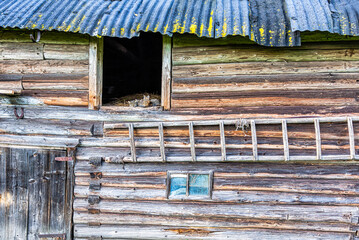 Cute cats sitting on the hay in old wooden house