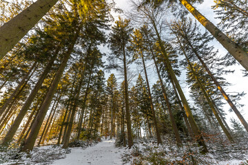 Winterlandschaft im Bayerischen Wald 