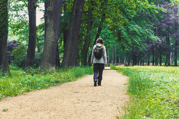 woman is walking through pretty rhododendron park, blooming time at the rhododendron park Kromlau, saxony, Germany