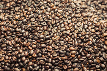 Coffee beans on a Market in Rantepao, Sulawesi, Indonesia