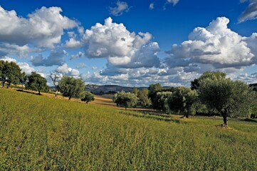 Landscape near Recanati, locations Vallememoria, Recanati, district of Macerata, Marches, Italy,...