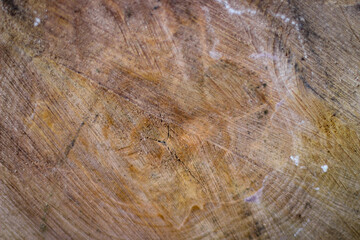 Abstract wooden background of sawn wood