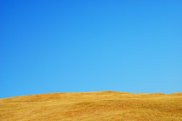 Dry brown grass field on clear blue sky background. Isolated vast landscape of rough environment earth.