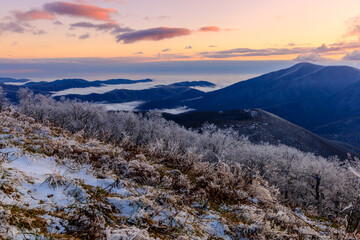 Devil's Knob Overlook - Blue Ridge Mountains with low-level clouds, ice covered trees and plants, pink clouds at sunset