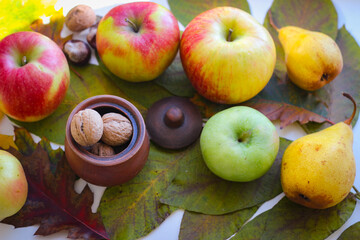 Autumn still life. Leaves, nuts, apples and a clay jug
