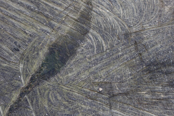 Abstract background. Wooden bright gray and blue surface, traditional patterned decorative material for carpentry.