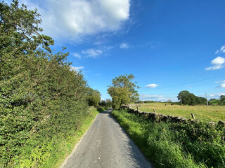 Fototapeta na wymiar View along, Flat Lane, with fields, wild plants, and trees, on a sunny day in, Long Preston, Skipton, UK