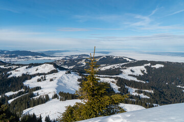 Aussicht vom Gipfel der Schneeschuhtour in Richtung Zürich