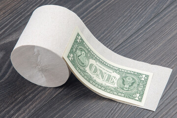 toilet paper with dollar bill on wooden background