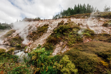 Fototapeta na wymiar Rocky cliffs, creek and steam in Wairakei Thermal Valley