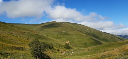 Fototapeta premium Trabzon/Hanlut yaylası