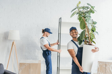 cheerful indian mover holding green plant near coworker carrying rack on blurred background