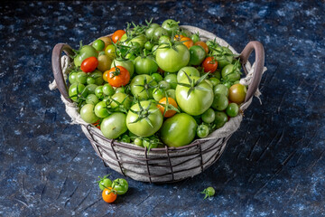 Green tomatoes freshly picked