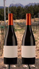 Two bottles of wine with vineyard background.