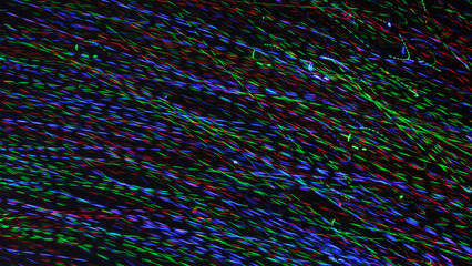 Obraz premium multicolored dotted lines on a dark background, abstraction