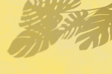Summer Background Of Shadows Branch Leaves On a Wall. Illuminating Pantone Color Of The Year 2021