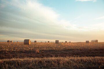 Kansas Prairies © Megan