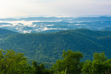 Naklejka premium Morning Fog over the Blue Ridge mountains, summer morning and fog is weaving around the mountain peaks, looks as though the pecks are almost floating on water, photographed from the Blue Ridge Parkway