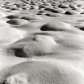 Schneew&uuml;ste