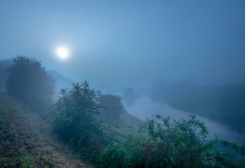 Misty morning in the forest