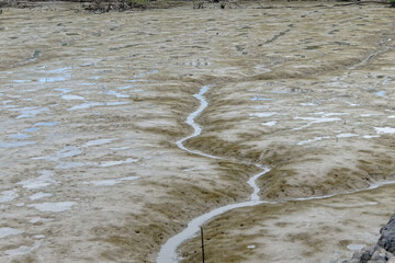La vase du fleuve Amazone envahit les côtes de Guyane française. 