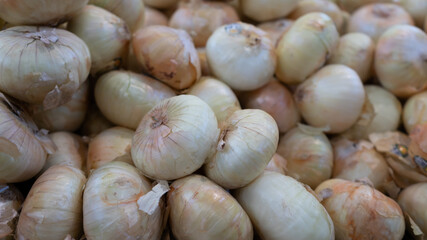 close up of Onions
