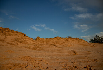 dune of Northern Michigan 