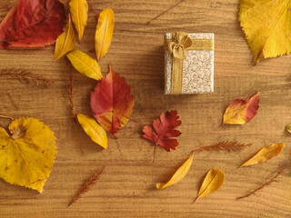 colorful leaves and gift box on wooden background