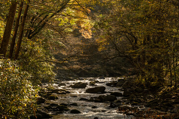 Early Morning Looking Down Little River