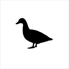 silhouette of a duck. vector illustration