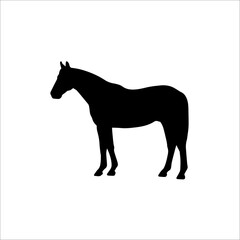 silhouette of a horse. vector illustration
