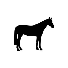 silhouette of a horse. vector illustration