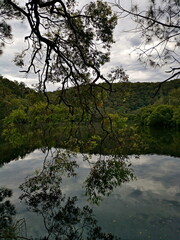Beautiful view of a creek with reflections of mountains, trees, and cloudy sky on water, Crosslands Reserve, Berowra Valley National Park, New South Wales, Australia
