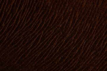 Brown earth color of hairy natural fur pattern texture background. Image photo