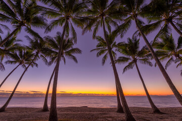Palm Cove at dawn
