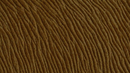 Fototapeta na wymiar Brown color of hairy natural fur pattern texture background. Image photo