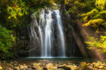 Fototapeta premium Ellinjaa Falls