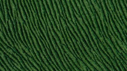 Fototapeta premium Green color of hairy natural fur pattern texture background. Image photo