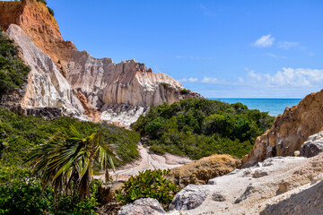 Fototapeta na wymiar Oceano no horizonte, rocha e vegetação tropical. Praia em Trancoso, Bahia 