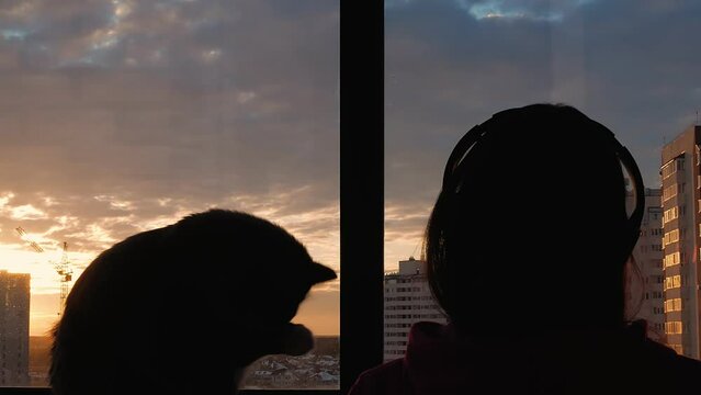Silhouette of a girl who listens to music from headphones, a cat sits next to it licking its paw, outside the window sunset, cityscape