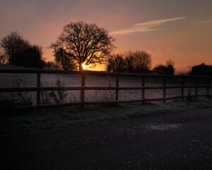 Sunrise between trees illuminating the field farmland and fencing. Cold frost covered field fence and plants on winters morning in England, UK