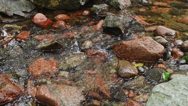 Water Flows Over Rocks in Creek Right to Left - Acadia National Park, Maine, USA