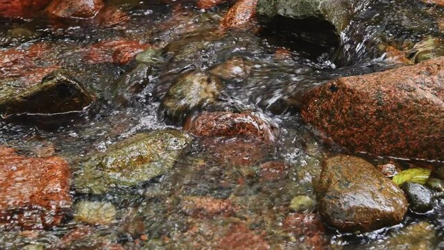 Water Flows Over Rocks in Creek Right to Left Closeup - Acadia National Park, Maine, USA