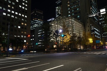 Fototapeta na wymiar illumination of Marunouchi, Tokyo at night in winter