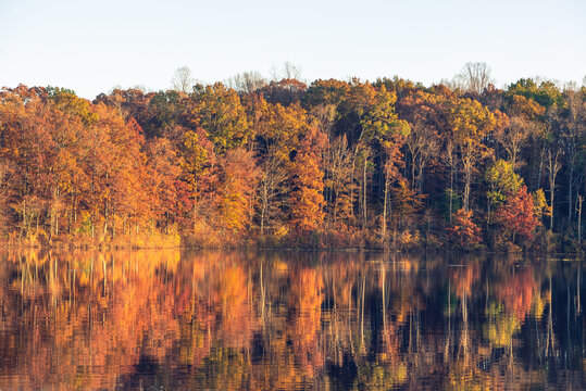 Trees along a shoreline reflecting in a still morning lake © Amy Buxton