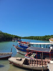 boat on the river