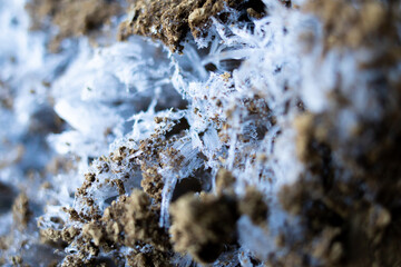 御岳山・大岳山（東京）の風景