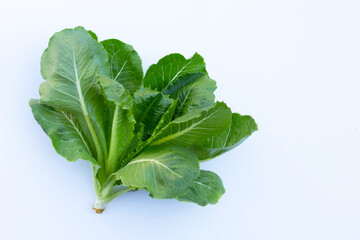 Lettuce on white background. Top view