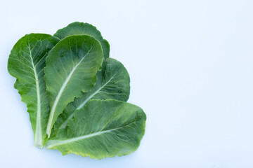 Lettuce leaves on white background. Top view
